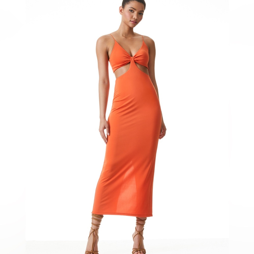 Alice and Olivia Sienna Havana Cut Out V-Neck Maxi Dress Size 0 Sexy Party